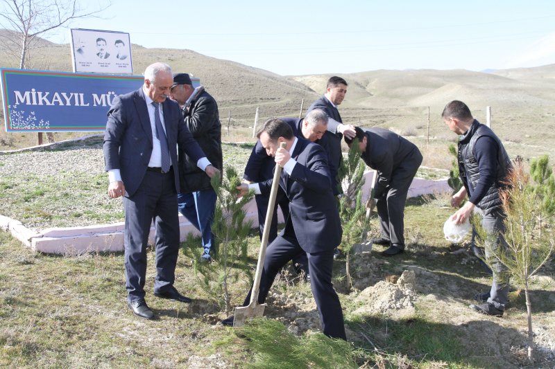 Sumqayıt Regional Mədəniyyət və Turzm idarəsinin təşəbbüsü ilə ağacəkmə aksiyası keçirilib.