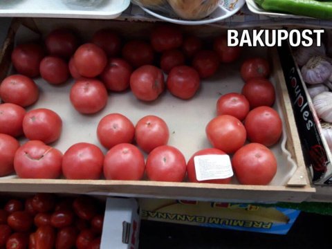 Kəlbəcərin Bağlıpəyə kəndində pomidor yetişdirən azərbaycanlı kimdir – ŞOK FOTOLAR