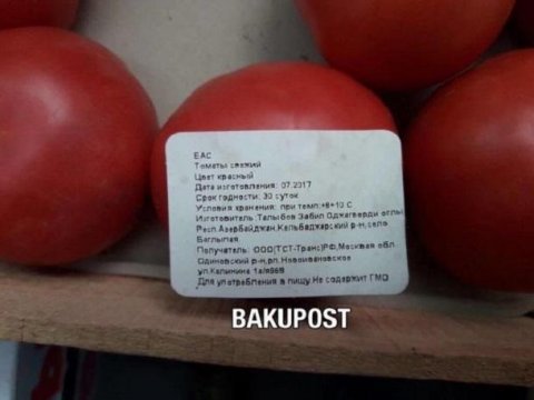 Kəlbəcərdə pomidor becərən azərbaycanlı kimdir?