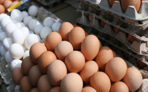  Azərbaycanda yumurta qıtlığı: qiymətlər bahalaşdı 