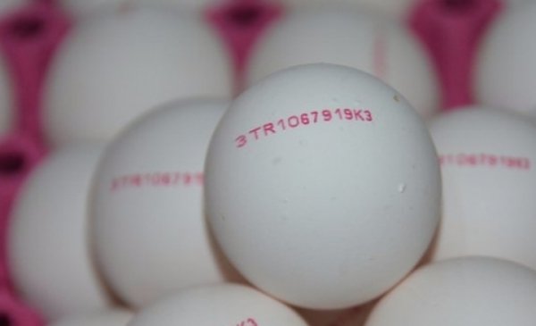 Yumurtaların üzərindəki kodlara DİQQƏT - Hər rəqəm bir informasiya verir