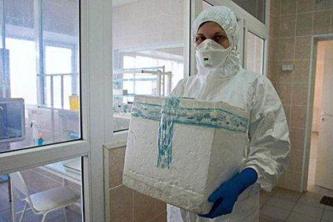 Gürcüstanda “donuz qripi” adlı virus yoxdur - ÜST