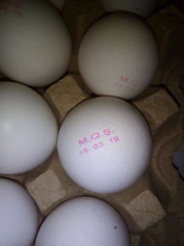 OBA marketdə sabah istehsal olunacaq yumurta bu gün satılır