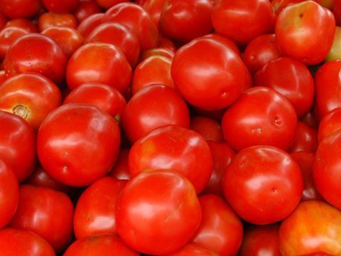 Tonlarla Azərbaycan pomidoru Rusiyaya buraxılmadı