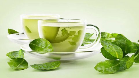 Yaşıl çay ölümcül xəstəlikləri sağaldır (İDDİA)