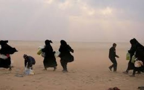 İŞİD-çi ailəsindən olan 112 uşaq Azərbaycana göndərildi