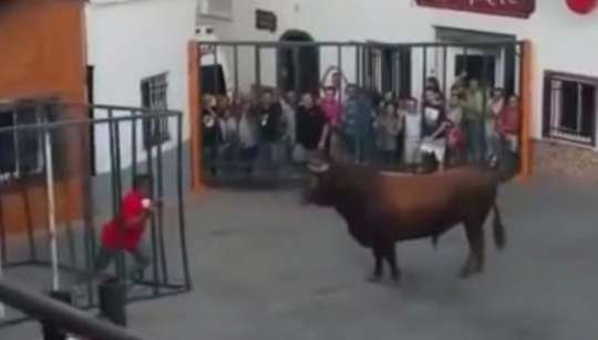 İspaniyada öküz matadoru qanına qəltan elədi 