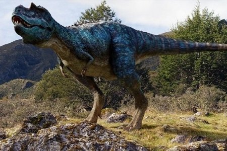 Argentinada dinozavr yumurtaları tapılıb 