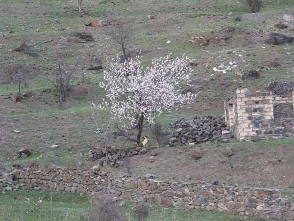 Kəlbəcərin yeni görüntüləri yayıldı 