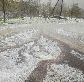 Qaxa dolu yağıb, meyvə ağaclarına ziyan dəyib