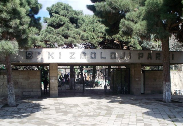 Bakı zooparkında bu heyvanlar ölüb