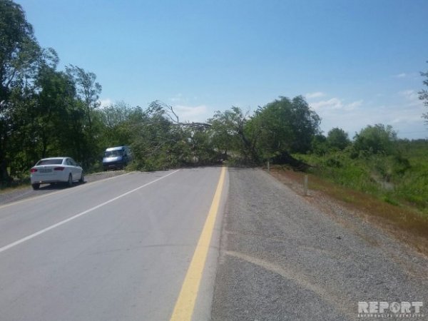 Bakı-Şamaxı-Yevlax yolu bağlandı 