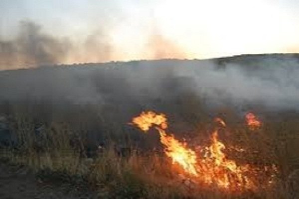 Ermənilər işğal altında olan ərazidə yanğın törədib