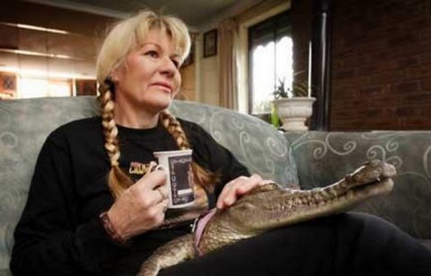 Öldürdü, dərisini soydu, ətindən yemək bişirdi: qadından ərinə qarşı Öldürdü, dərisini soydu, ətindən yemək bişirdi: qadından ərinə qarşı