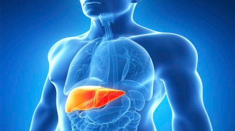 "Hepatit C" xəstəliyinin müalicəsi artıq AZƏRBAYCANDA 