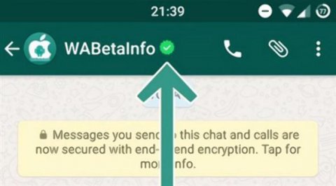 "WhatsApp"da yaşıl xətt dövrü