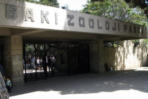 "Zoopark və sirk Bakıya heç yaraşmır" - Deputat