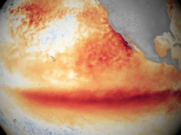 Dünya Meteorologiya Təşkilatı: Bu qış planetimizdə "El Nino" hadisəsinin təkrarı gözlənilir