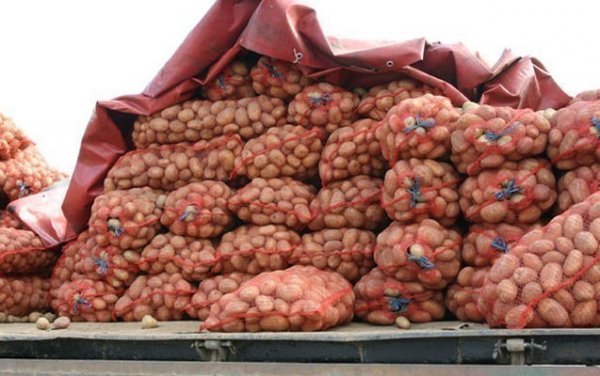 25 tona yaxın kartof İrana geri qaytarıldı