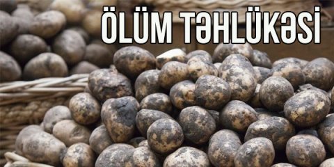 DİQQƏT! Bakıda erməni kartofları satılır -TƏHLÜKƏ