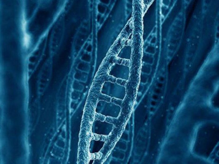 "İnsan DNA-sını dəyişmək mümkündür"