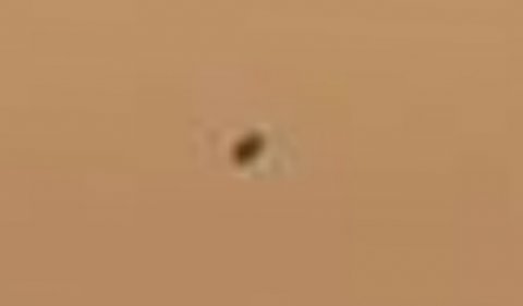 Mars səmasında uçan obyektlər göründü 