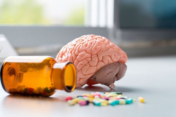 Beyni qidalandıran vitaminlər - Nə qəbul edək ki, beynimiz yaxşı işləsin?