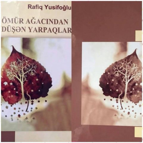 “Ömür ağacından düşən yarpaqlar” - Rafiq Yusifoğlunun yeni kitabı