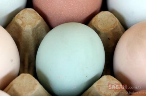 Azərbaycanda 5 manata satılan yumurta - ŞƏKİL/VİDEO
