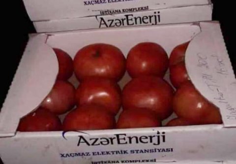 "Azərişıq" işçilərinə "bayrampulu" əvəzinə 2 kq pomidor paylayıb