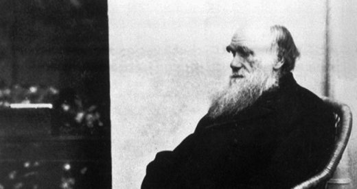 Darvinin iki əlyazması oğurlandı: özü də haradan?