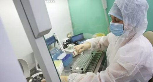 Niderland, Danimarka və Avstraliyada yeni növ koronavirus aşkarlanıb