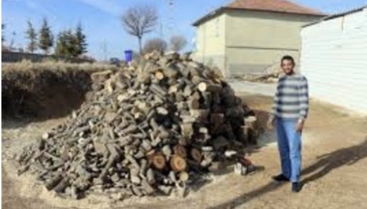 Türkiyə şokda: Kəsilmiş ağacın gövdəsindən ay-ulduz fiquru çıxdı - Şəkillər