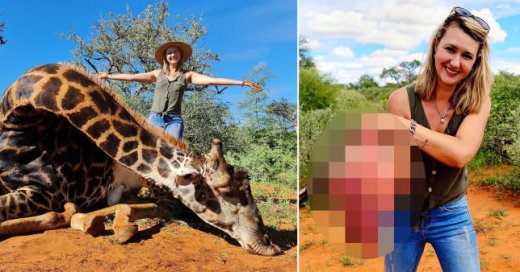 Zürafəni öldürüb ürəyini çıxaran qadın qalmaqala səbəb oldu - ŞƏKİLLƏR
