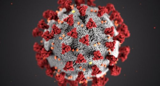 Koronavirusun izi gündəlik əşyalarda 28 günədək qalır-  İnfeksionistlər