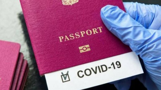 Lerikdə saxta COVID pasportu satanlara cinayət işi açıldı 
