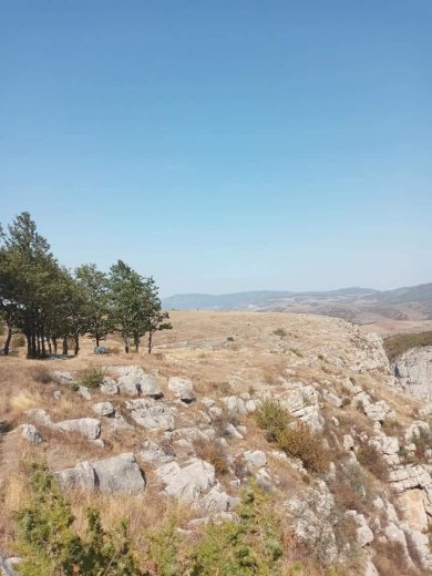 Şuşanı gördüm, bundan sonra... - Taleh Şahməmmədli yazır Şuşanı gördüm, bundan sonra... - Taleh Şahməmmədli yazır